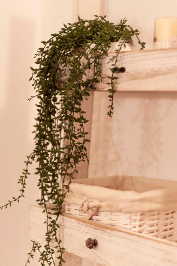 Sant'Arpino 26 - Elegant Flats In Naples 아파트 외부 사진